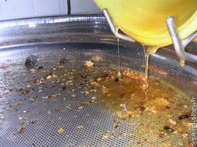 filtrage du miel lors de versement dans le maturateur