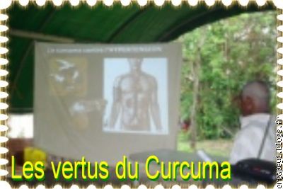 Gerard Ste Rose nous dit tout (ou presque) sur les vertus du curcuma